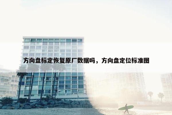 方向盘标定恢复原厂数据吗，方向盘定位标准图