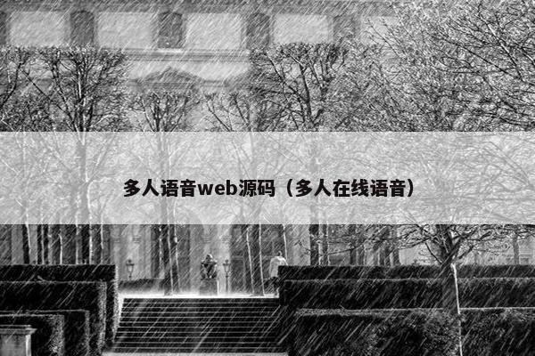 多人语音web源码（多人在线语音）