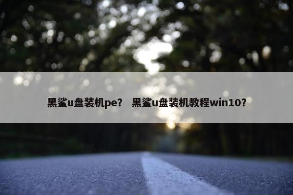 黑鲨u盘装机pe？ 黑鲨u盘装机教程win10？