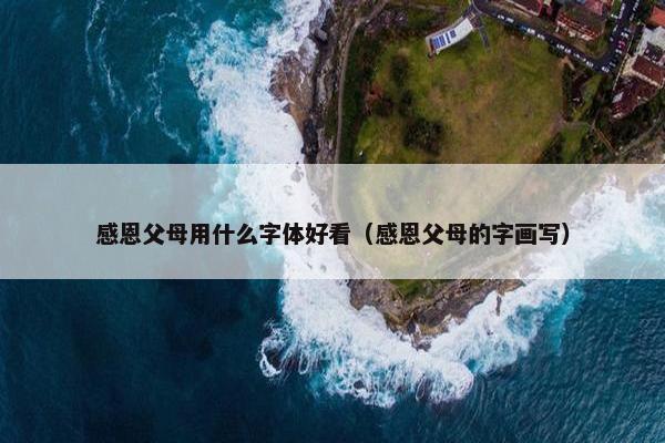 感恩父母用什么字体好看（感恩父母的字画写）