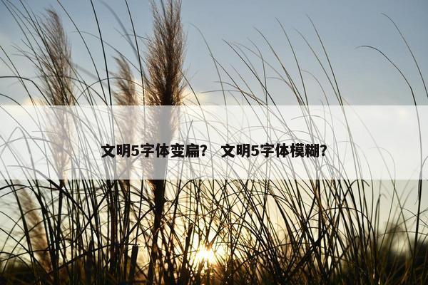 文明5字体变扁？ 文明5字体模糊？