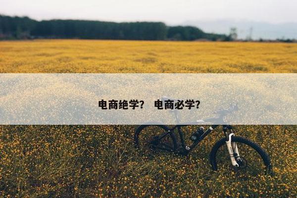 电商绝学？ 电商必学？