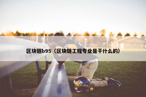 区块链b95（区块链工程专业是干什么的）