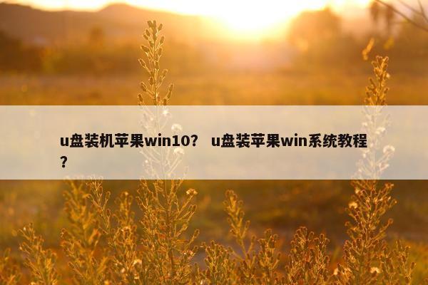 u盘装机苹果win10？ u盘装苹果win系统教程？