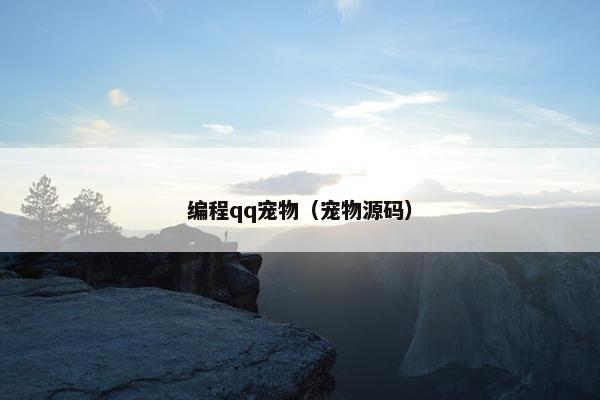 编程qq宠物（宠物源码）