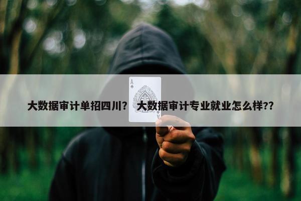 大数据审计单招四川？ 大数据审计专业就业怎么样?？