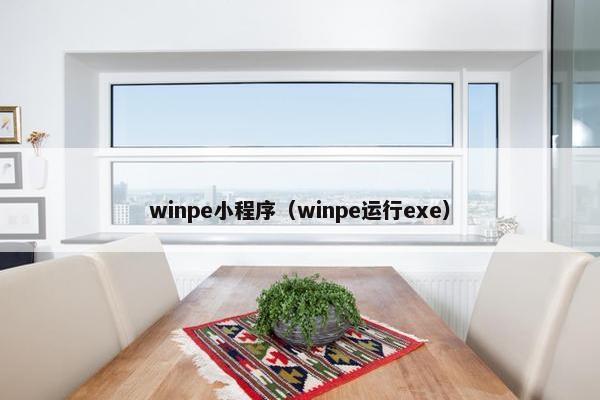 winpe小程序（winpe运行exe）
