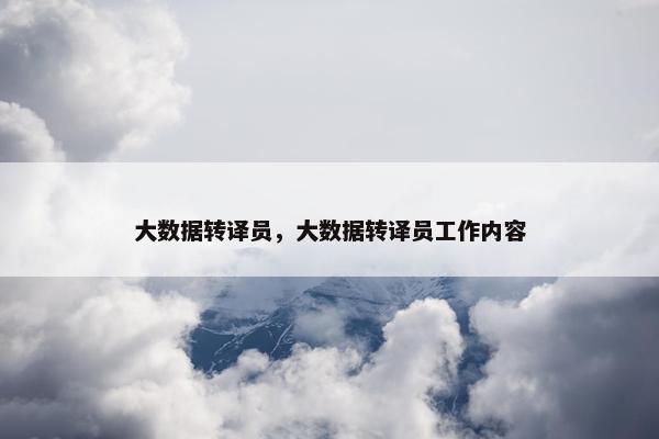 大数据转译员，大数据转译员工作内容