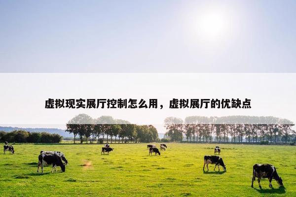 虚拟现实展厅控制怎么用，虚拟展厅的优缺点
