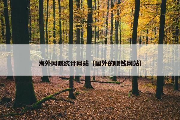 海外网赚统计网站（国外的赚钱网站）