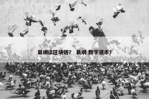 易纲谈区块链？ 易纲 数字货币？