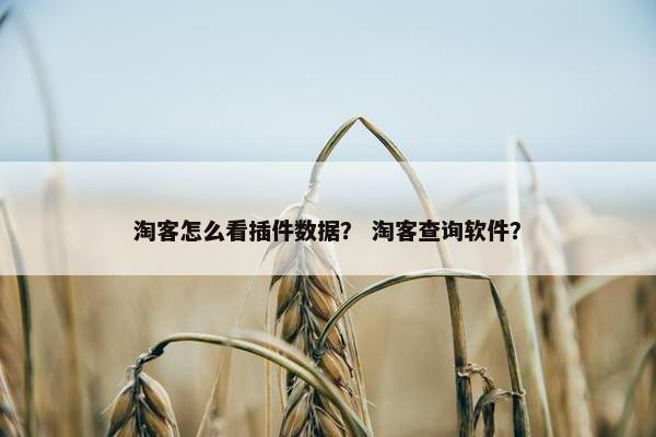 淘客怎么看插件数据？ 淘客查询软件？