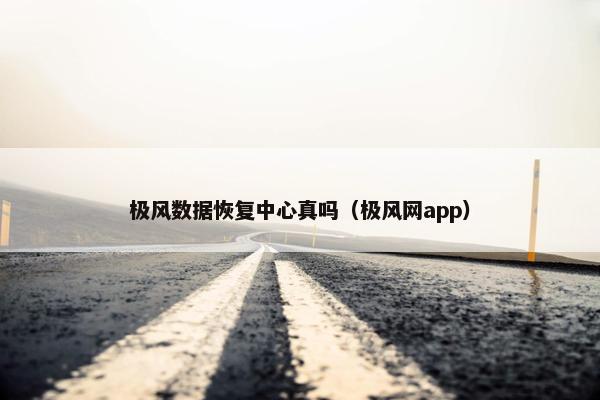 极风数据恢复中心真吗（极风网app）
