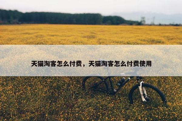 天猫淘客怎么付费，天猫淘客怎么付费使用