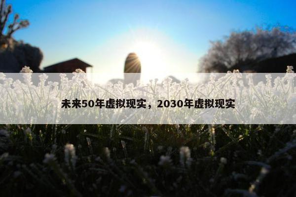 未来50年虚拟现实，2030年虚拟现实