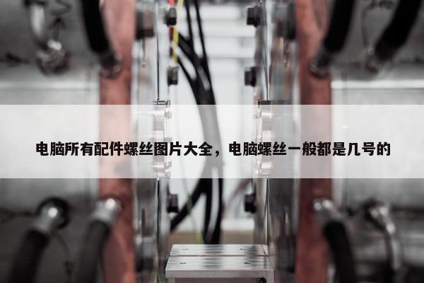 电脑所有配件螺丝图片大全，电脑螺丝一般都是几号的