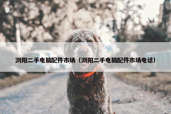 浏阳二手电脑配件市场（浏阳二手电脑配件市场电话）