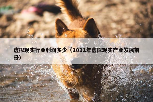 虚拟现实行业利润多少（2021年虚拟现实产业发展前景）