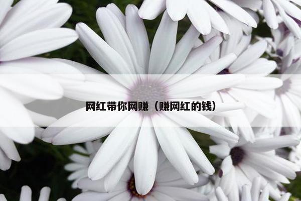 网红带你网赚（赚网红的钱）