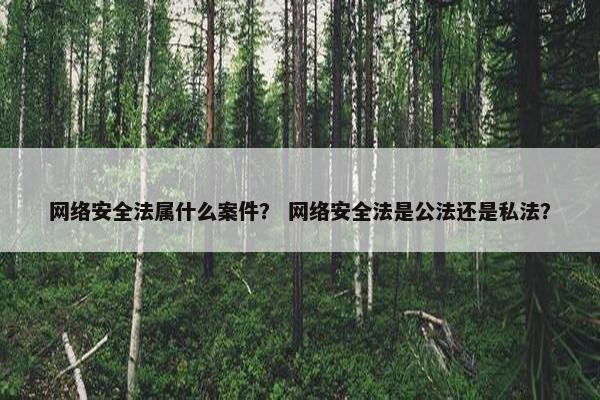 网络安全法属什么案件？ 网络安全法是公法还是私法？