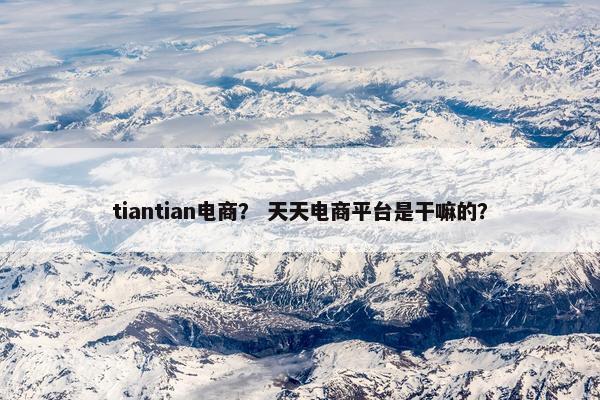 tiantian电商？ 天天电商平台是干嘛的？