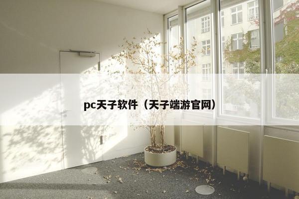 pc天子软件（天子端游官网）