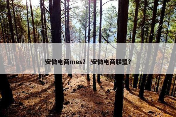 安徽电商mes？ 安徽电商联盟？