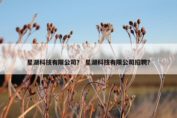 星湖科技有限公司？ 星湖科技有限公司招聘？