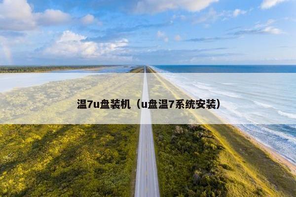 温7u盘装机（u盘温7系统安装）