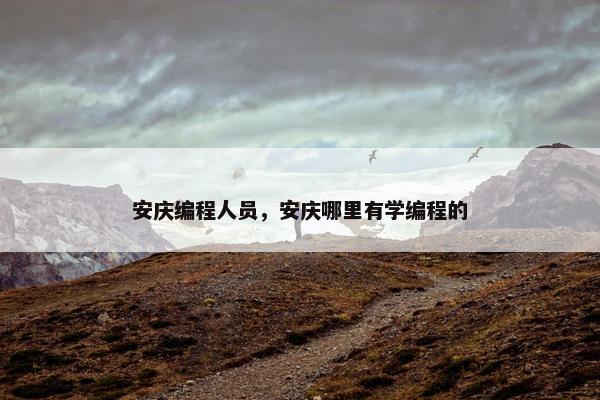 安庆编程人员，安庆哪里有学编程的
