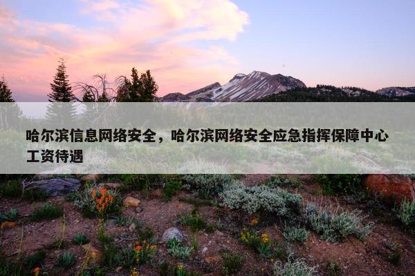哈尔滨信息网络安全，哈尔滨网络安全应急指挥保障中心工资待遇