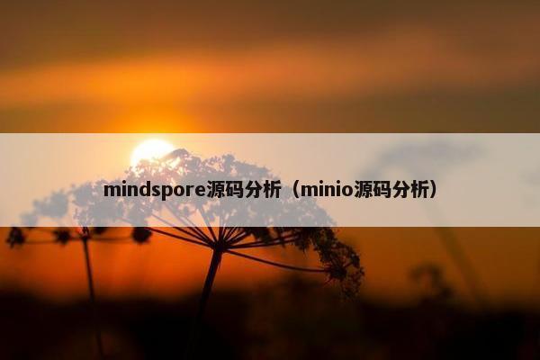 mindspore源码分析（minio源码分析）