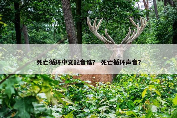 死亡循环中文配音谁？ 死亡循环声音？