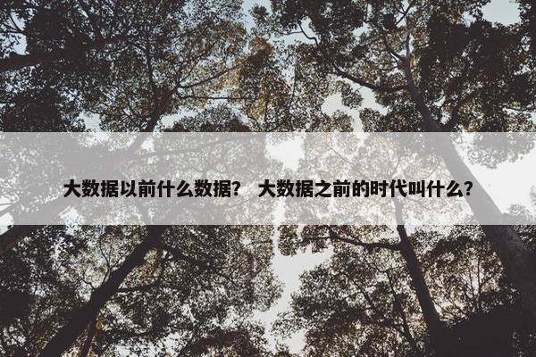 大数据以前什么数据？ 大数据之前的时代叫什么？