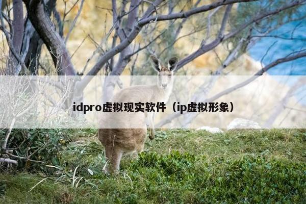 idpro虚拟现实软件（ip虚拟形象）