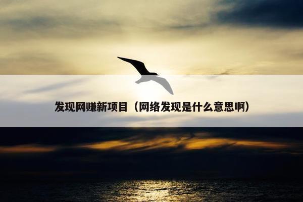 发现网赚新项目（网络发现是什么意思啊）