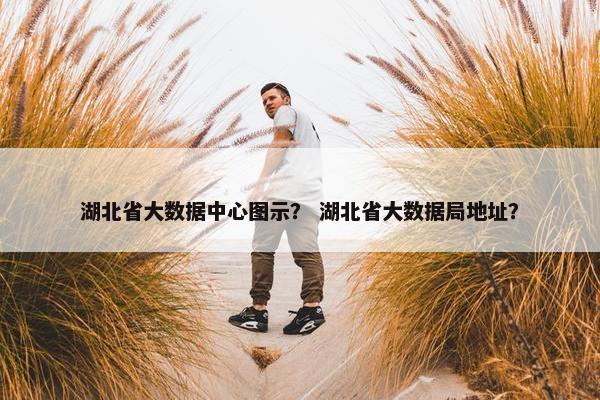 湖北省大数据中心图示？ 湖北省大数据局地址？