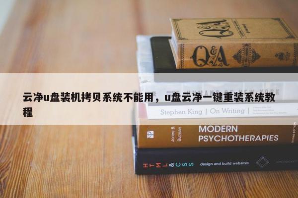 云净u盘装机拷贝系统不能用，u盘云净一键重装系统教程