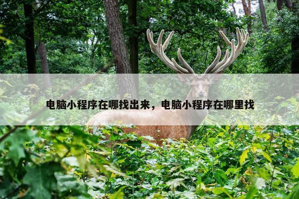 电脑小程序在哪找出来，电脑小程序在哪里找