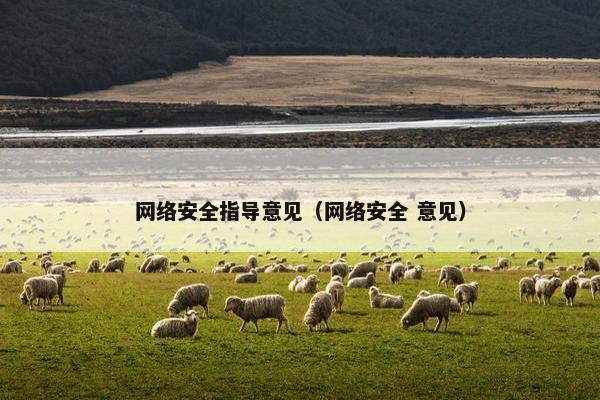 网络安全指导意见（网络安全 意见）
