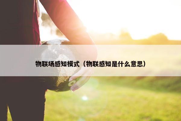 物联场感知模式（物联感知是什么意思）