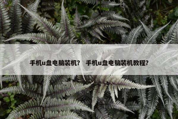 手机u盘电脑装机？ 手机u盘电脑装机教程？