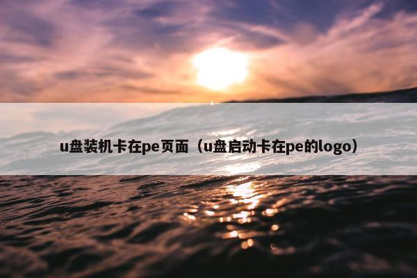 u盘装机卡在pe页面（u盘启动卡在pe的logo）