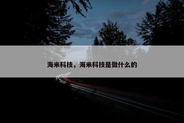 海米科技，海米科技是做什么的