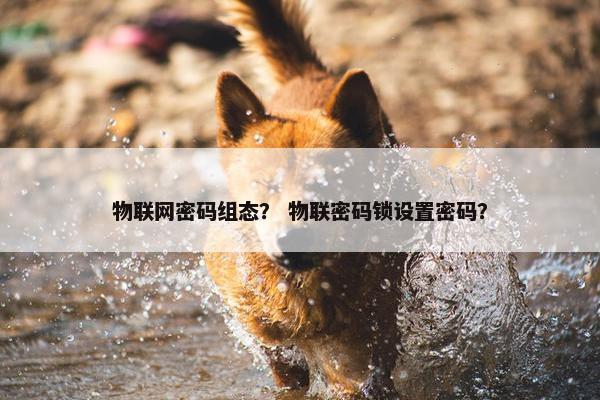 物联网密码组态？ 物联密码锁设置密码？