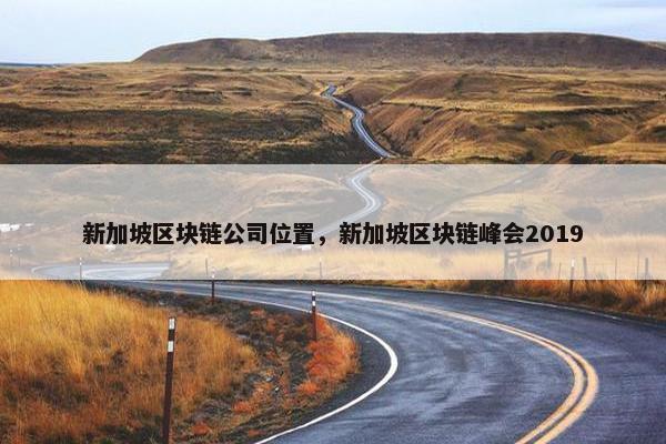 新加坡区块链公司位置，新加坡区块链峰会2019