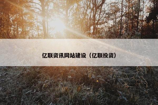 亿联资讯网站建设（亿联投资）