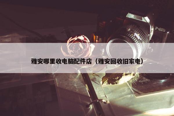 雅安哪里收电脑配件店（雅安回收旧家电）