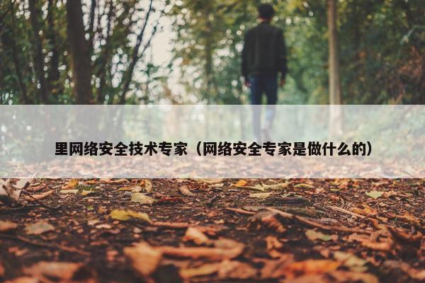 里网络安全技术专家（网络安全专家是做什么的）