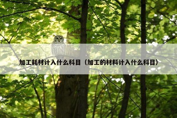 加工耗材计入什么科目（加工的材料计入什么科目）